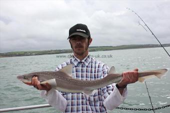 6 lb Starry Smooth-hound by Carl