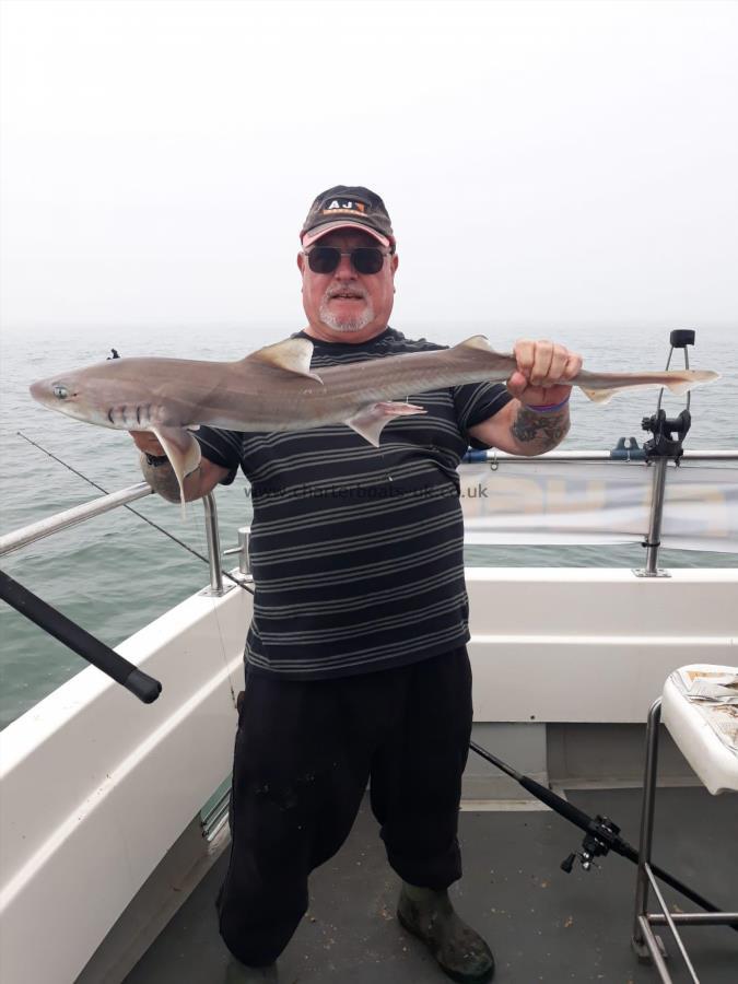 6 lb Starry Smooth-hound by Dave Jones