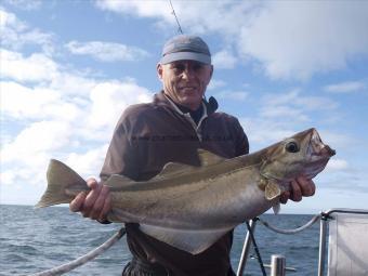 10 lb 2 oz Pollock by Unknown