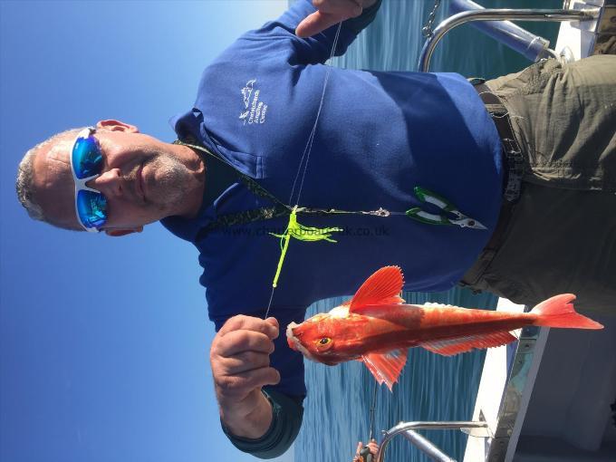 1 lb Red Gurnard by Keith Slater