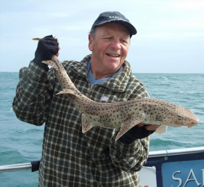 8 lb Bull Huss by Paddy Studley