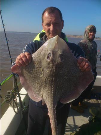 9 lb 4 oz Thornback Ray by adam pavlek