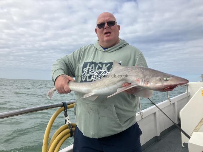 10 oz Smooth-hound by Unknown