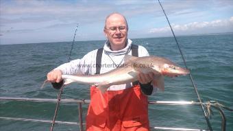 13 lb 4 oz Starry Smooth-hound by peter moberley