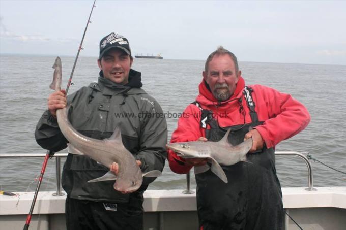 10 lb Starry Smooth-hound by Marcus & Wes (father and son)