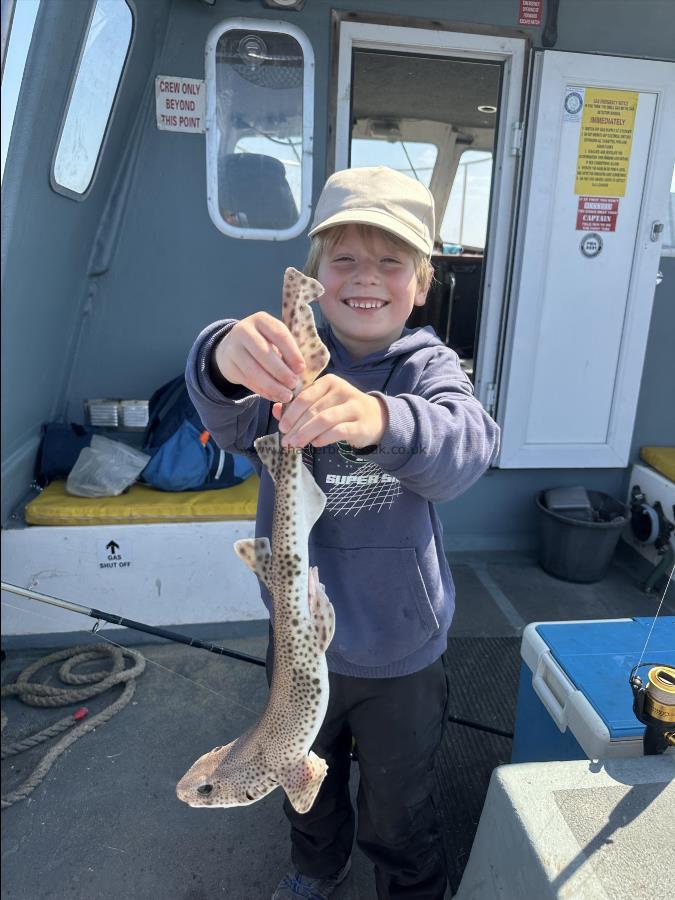1 lb 6 oz Lesser Spotted Dogfish by Finlay