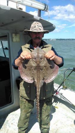 8 lb Thornback Ray by bushy