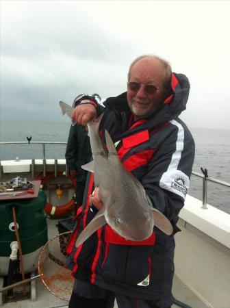 13 lb 1 oz Smooth-hound by bob ( one handed)