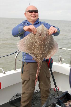 12 lb 6 oz Thornback Ray by Unknown