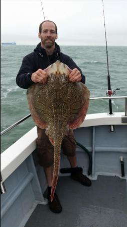 17 lb Undulate Ray by Unknown