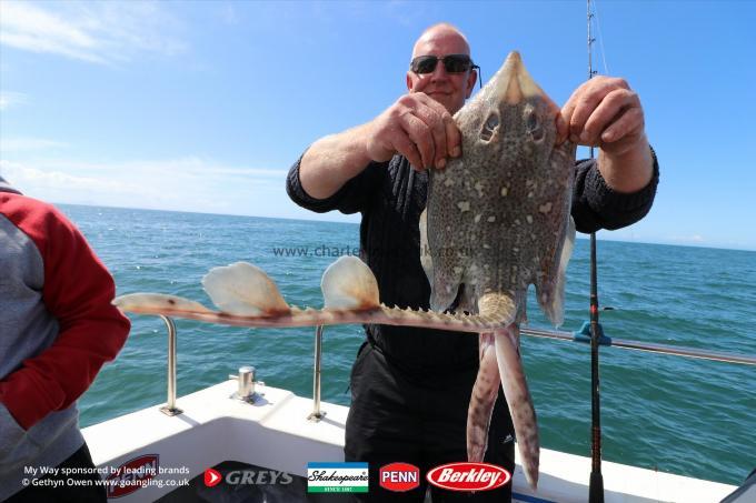 5 lb Thornback Ray by Keith