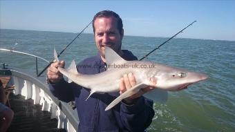 8 lb 7 oz Smooth-hound (Common) by Jay from Romford