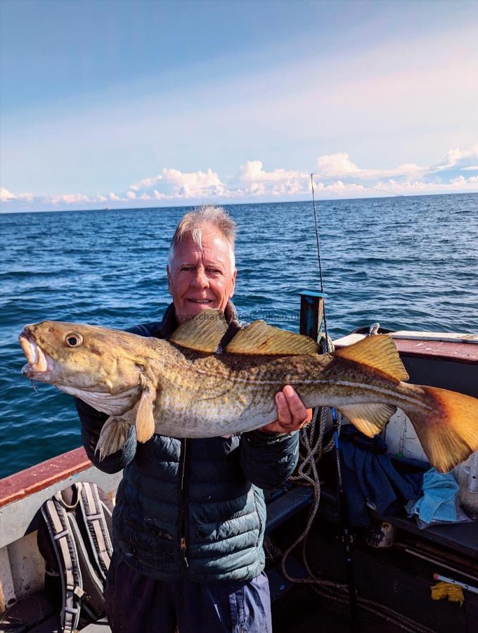 12 lb 6 oz Cod by Unknown