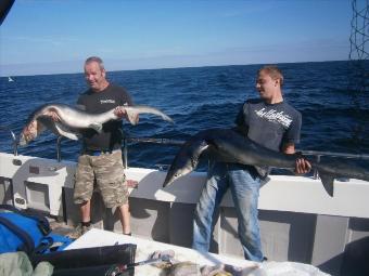 41 lb Blue Shark by Sam