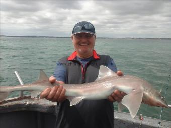 7 lb 6 oz Smooth-hound (Common) by Dave