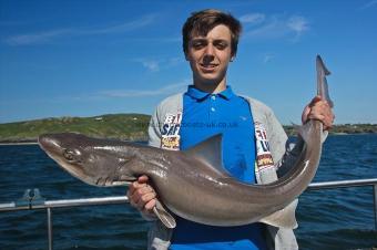 18 lb Starry Smooth-hound by Josh