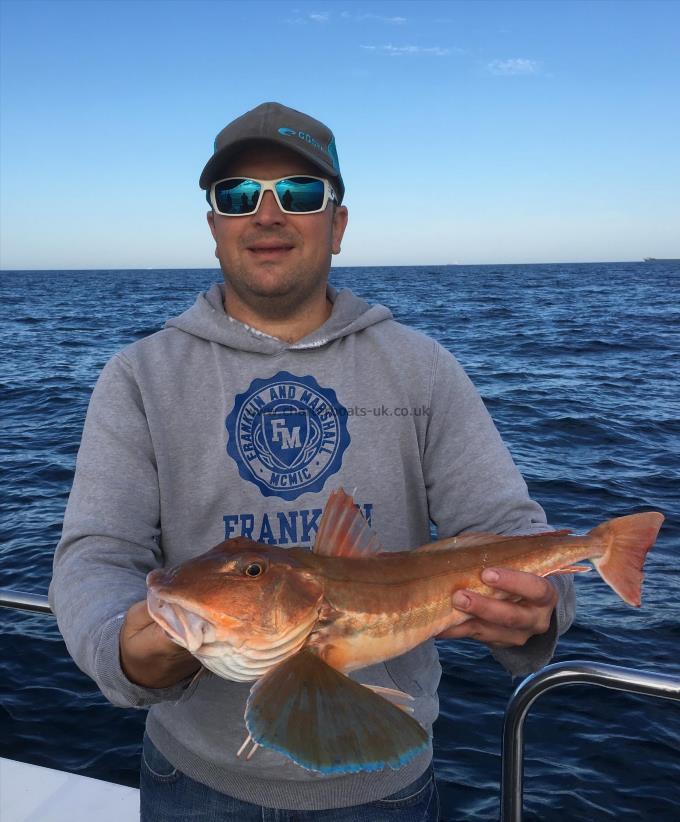 3 lb Tub Gurnard by Dan Perkins