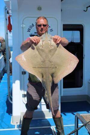 20 lb Blonde Ray by Simon