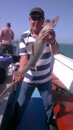 5 lb 10 oz Smooth-hound (Common) by dave