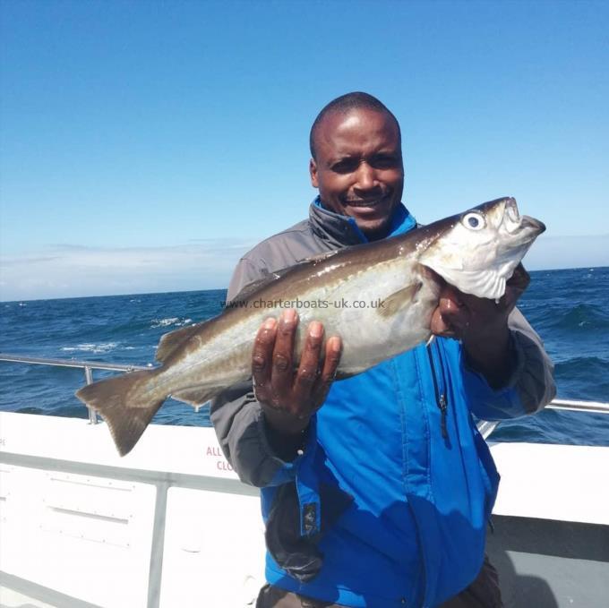 5 lb 2 oz Pollock by Will