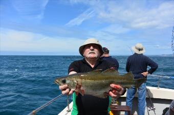 5 lb Pollock by Stephen Wake