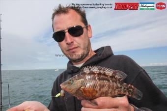 6 oz Corkwing Wrasse by Mark