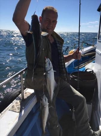 3 lb Coalfish (Coley/Saithe) by shane 30th june 3 good billets in one drop