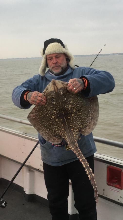 14 lb 14 oz Thornback Ray by Unknown