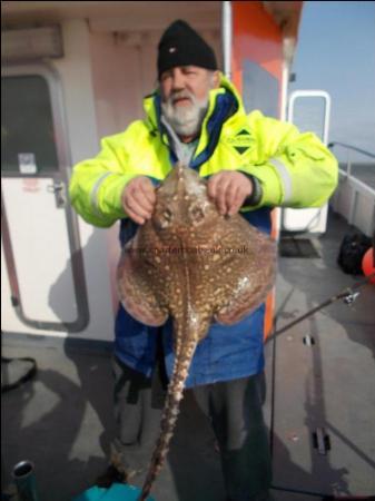 12 lb 14 oz Thornback Ray by caught by Richard Lusher on Sophie Lea
