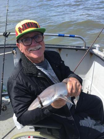 4 lb Smooth-hound by matt crowe