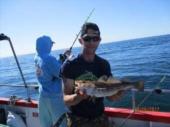 3 lb Cod by Unknown