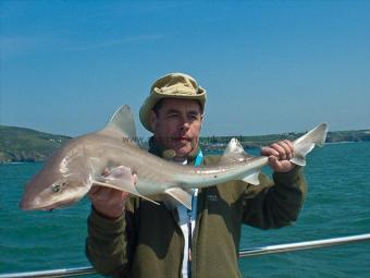 17 lb Smooth-hound (Common) by Ken Costello