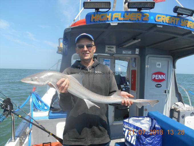 7 lb Starry Smooth-hound by Stephen Clark