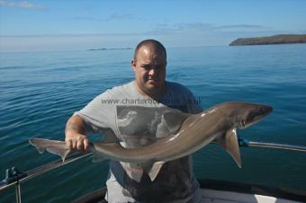 14 lb Starry Smooth-hound by Danny