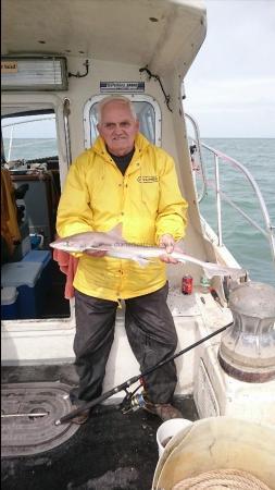 6 lb 8 oz Starry Smooth-hound by Bob Marshall