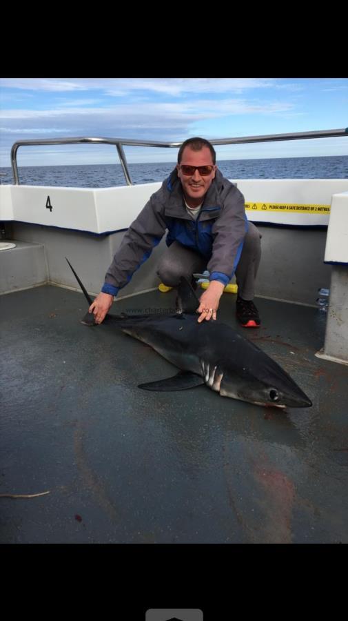 95 lb Porbeagle by Unknown