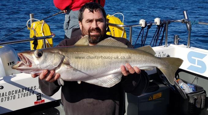 11 lb 15 oz Pollock by Peter