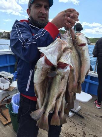 8 lb Cod by Zeb catches cod most of the day 7th june