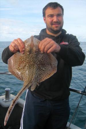 3 lb Spotted Ray by Unknown