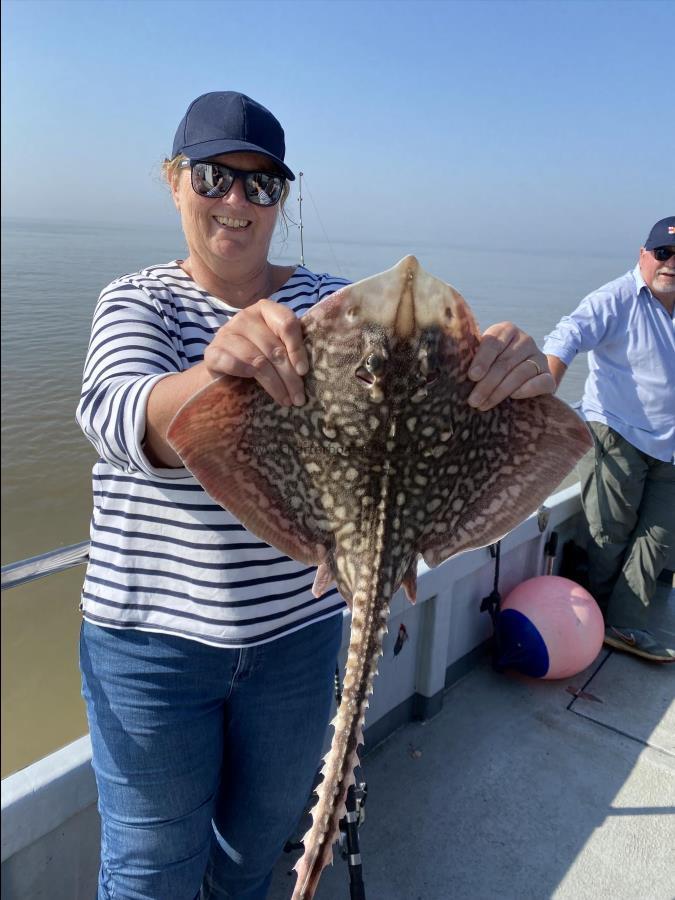 11 lb 2 oz Thornback Ray by Annes