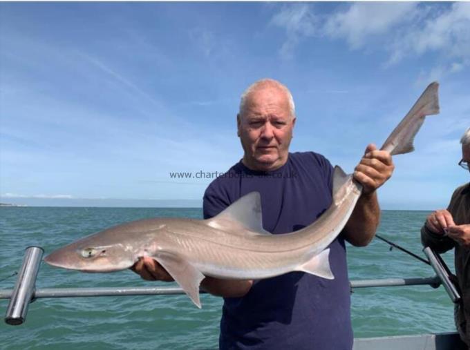 14 lb Smooth-hound (Common) by Unknown