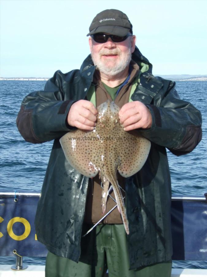 4 lb Spotted Ray by Phil Arnott