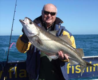 14 lb 8 oz Pollock by Keith Williams