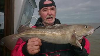 4 lb 3 oz Cod by Allan from Oxford