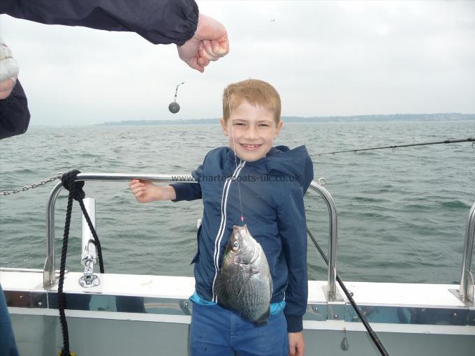 1 lb Black Sea Bream by Lucas