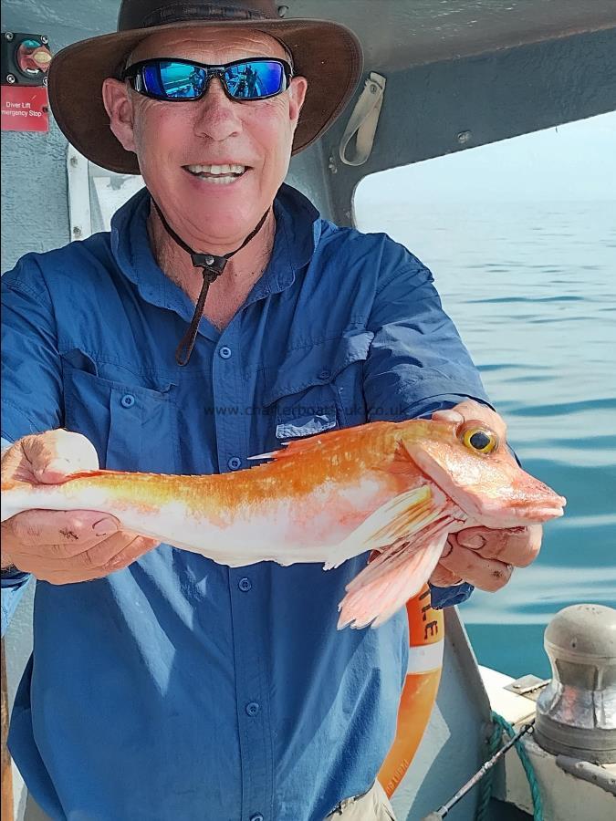 0.708 Kg Red Gurnard by Mike Hansell