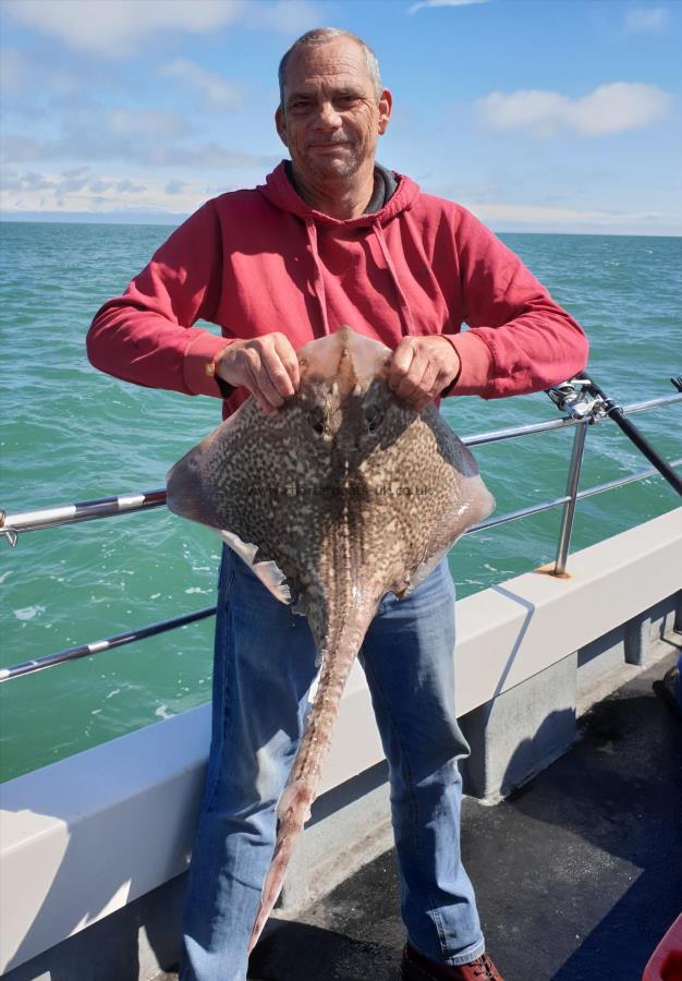 13 lb Thornback Ray by Bob Marshall