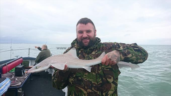 6 lb 2 oz Smooth-hound (Common) by Craig from ramsgate