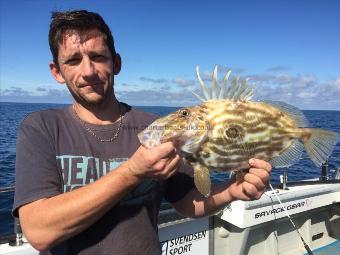 3 lb John Dory by Kevin McKie