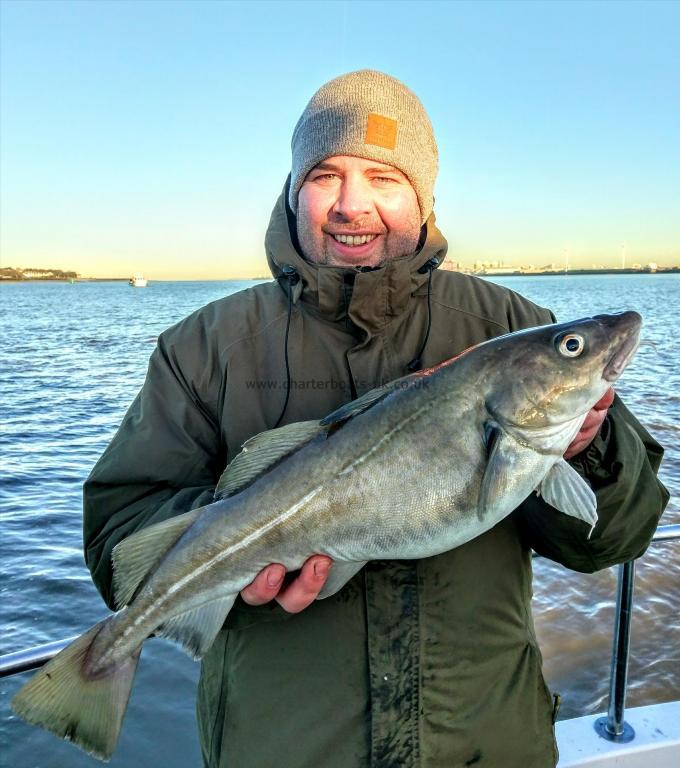 5 lb 11 oz Cod by Unknown